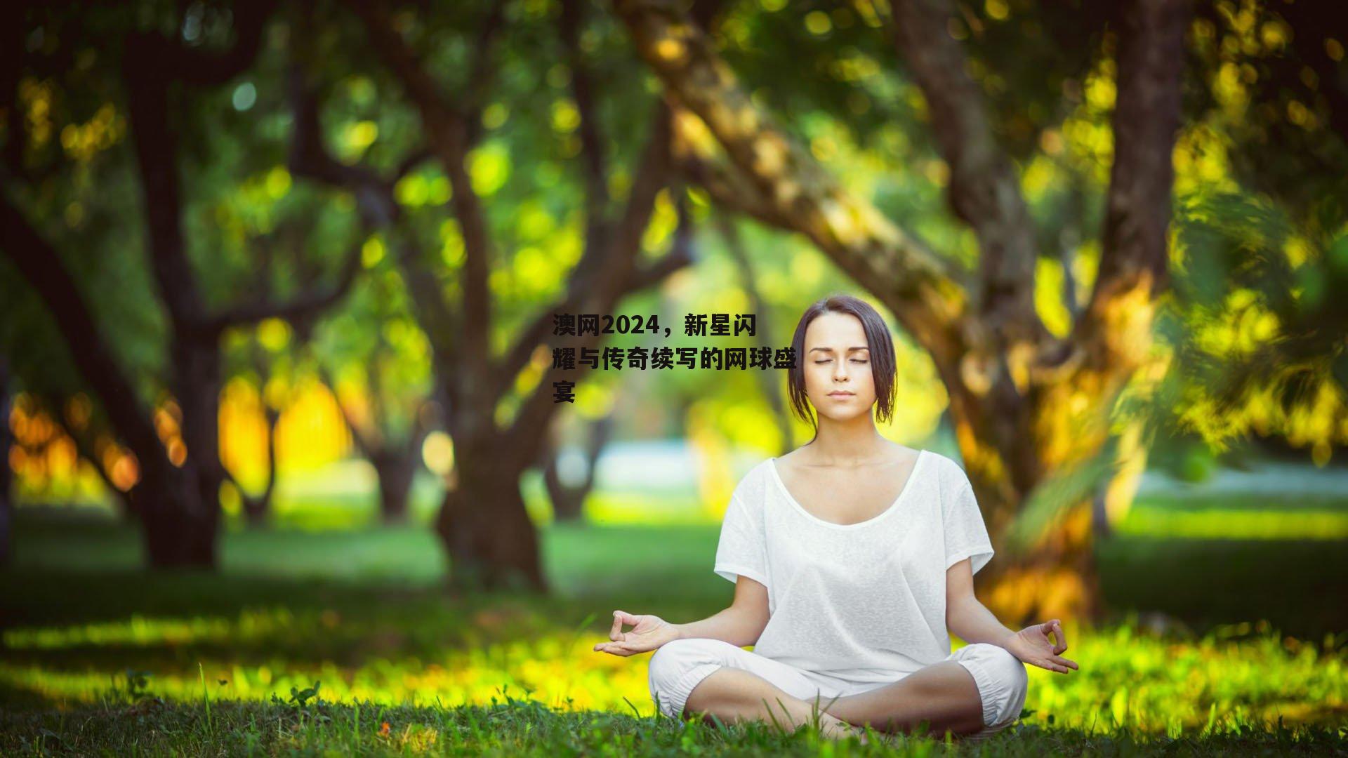 澳网2024，新星闪耀与传奇续写的网球盛宴